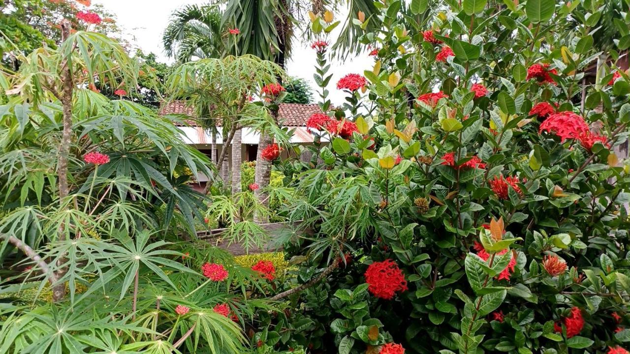 Finca Magdalena Eco Lodge Balgue Extérieur photo