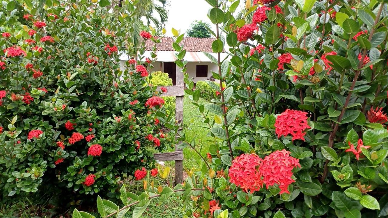 Finca Magdalena Eco Lodge Balgue Extérieur photo